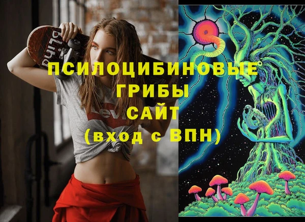 ПСИЛОЦИБИНОВЫЕ ГРИБЫ Аркадак